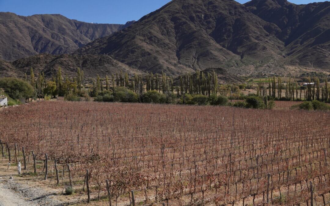 Where to Eat in Northern Argentina: Salta, Cachi and Cafayate